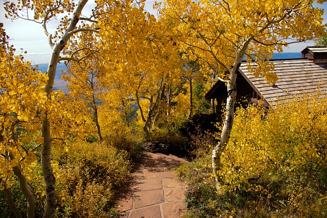 Grand Mesa Colorado fall season