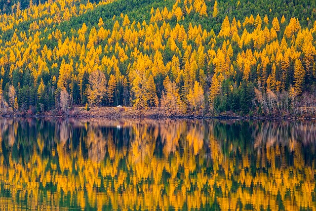 Montana Fall Colors at lake Mcdonald